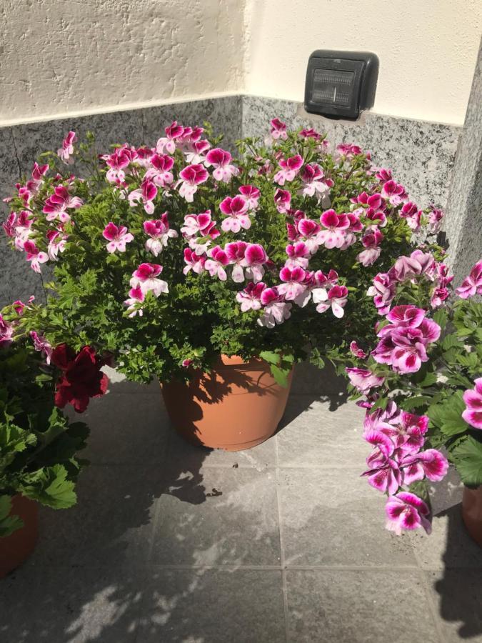 Dely B&B Arquata Scrivia Kültér fotó